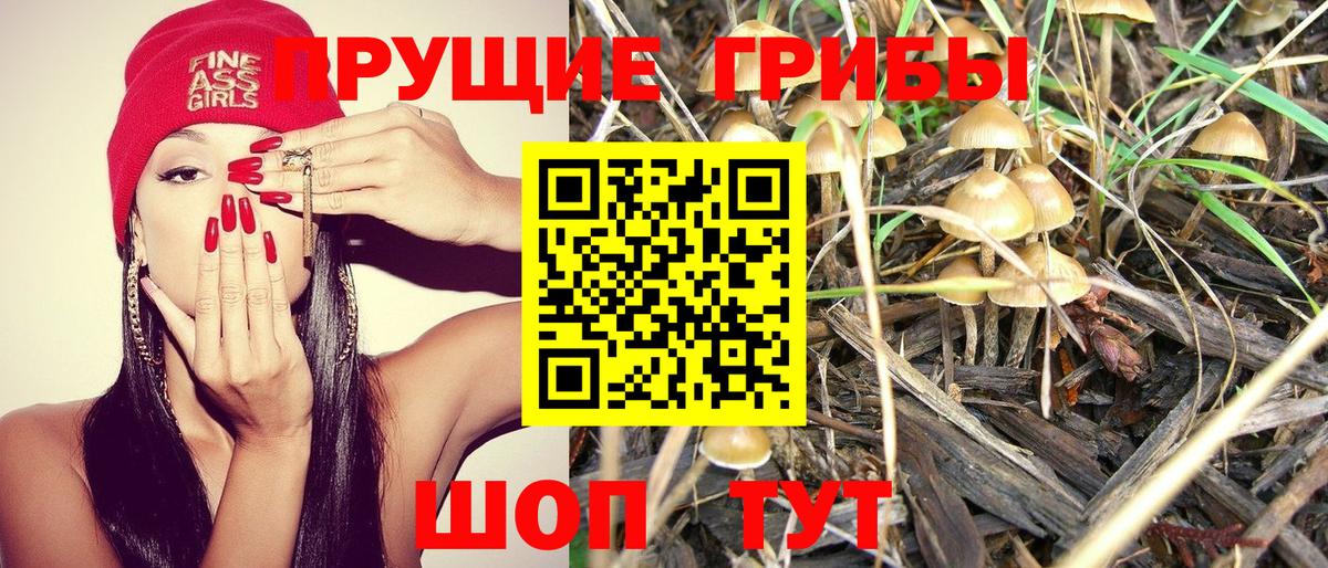 продажа наркотиков  Вход с VPN  Хабаровск  Псилоцибиновые грибы MAGIC MUSHROOMS  Галлюциногенные грибы GOLDEN TEACHER 