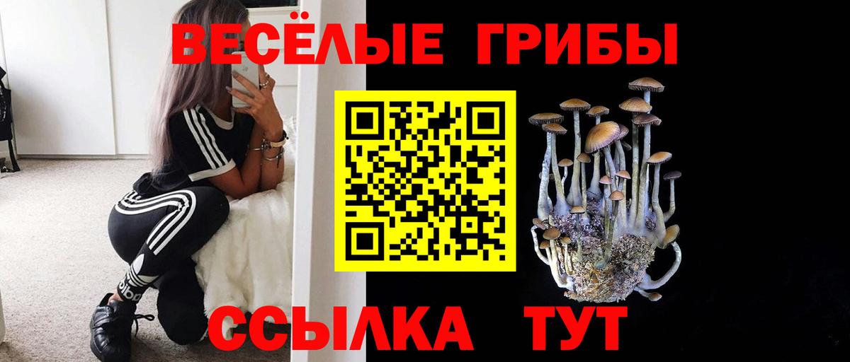 Псилоцибиновые грибы прущие грибы Хабаровск